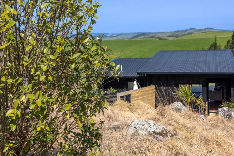 217 Wiroa Road Kerikeri_39