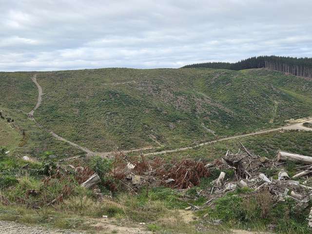 Broad Gully Road Ikawai_3