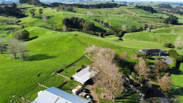 336 Dominion Road Tuakau_9