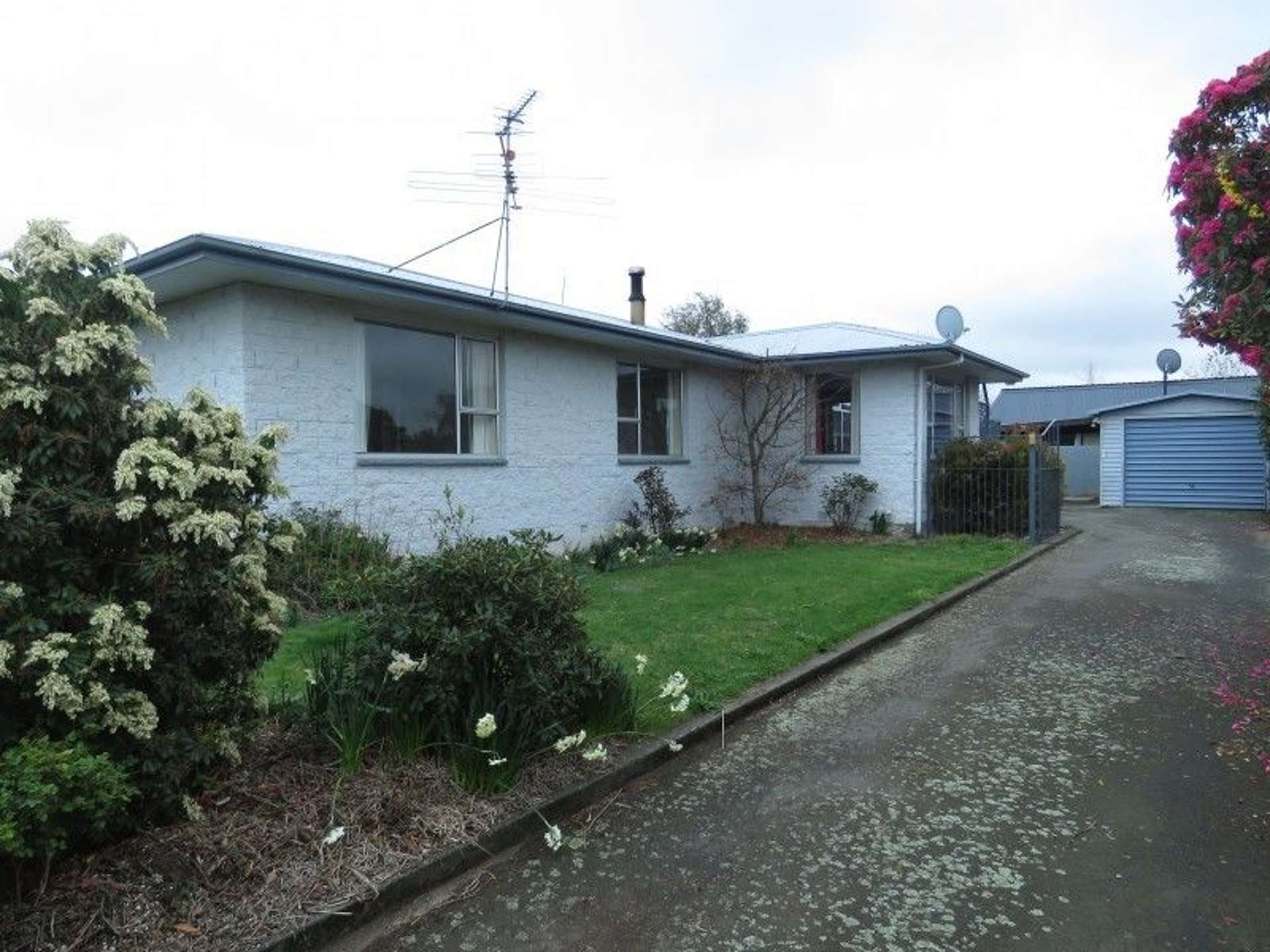 5 Mitchell Place Netherby_0