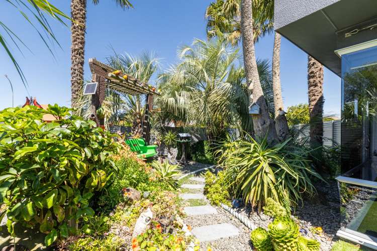 6 Park Road Greenmeadows_8