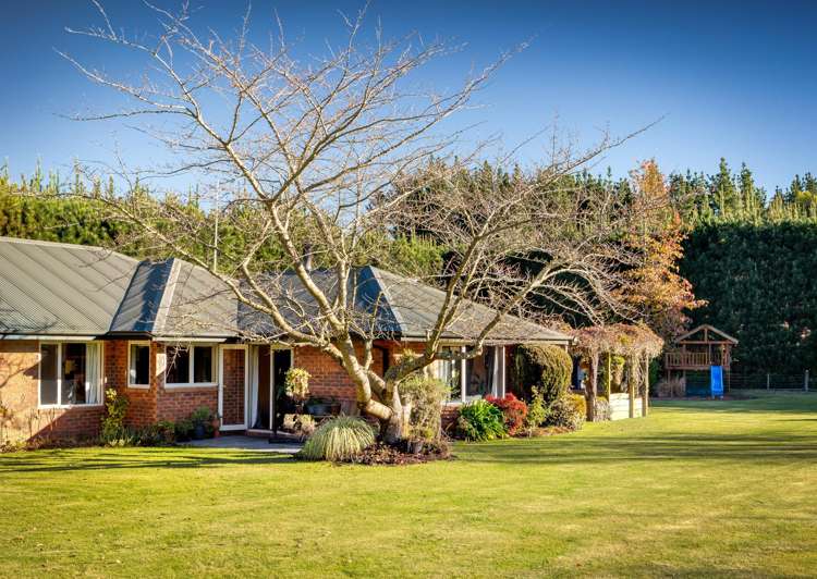 29 Scarlet Oak Drive_5