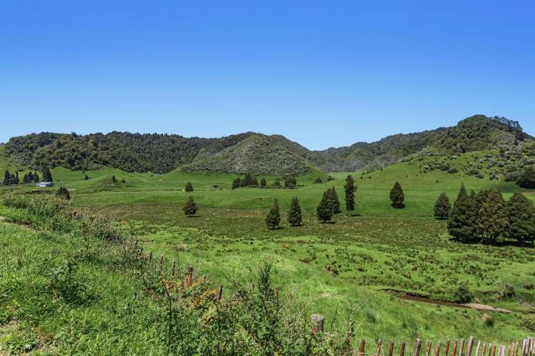 2060 Motu Road Opotiki_16