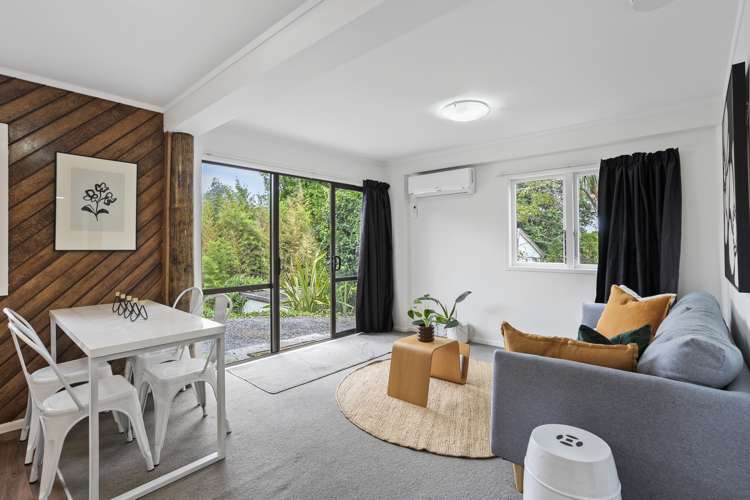 161b Carrington Road Mount Albert_13