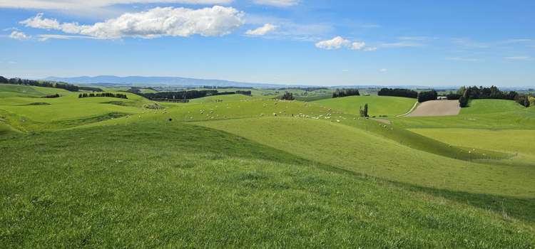 406 Byars Road Chatton North_18