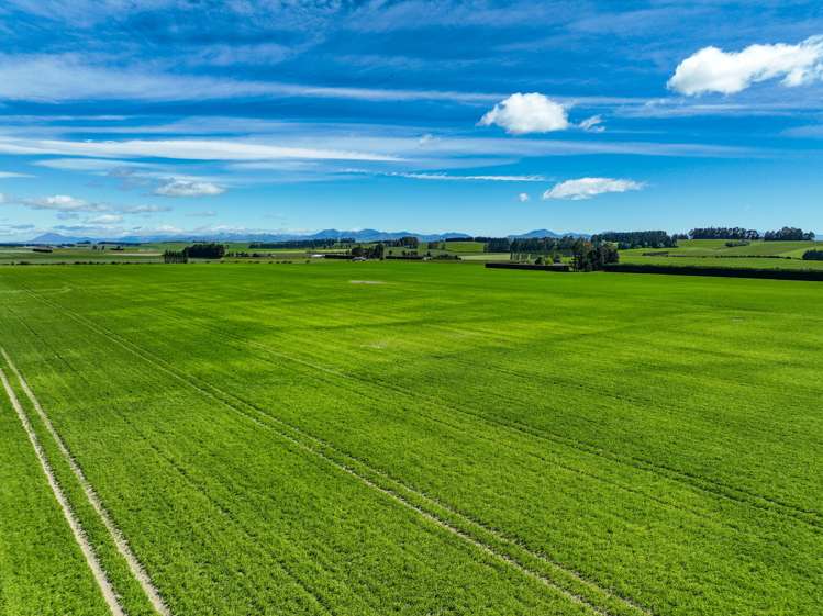 909 Nine Mile Road Riversdale_14