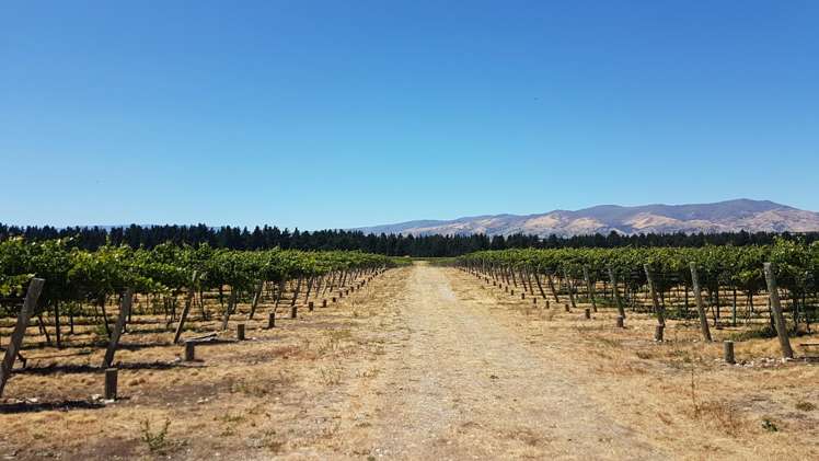 351 Maori Point Road Tarras_6