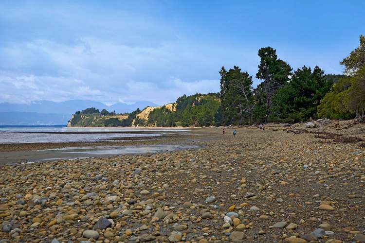 6 Cliff Road Tasman_23