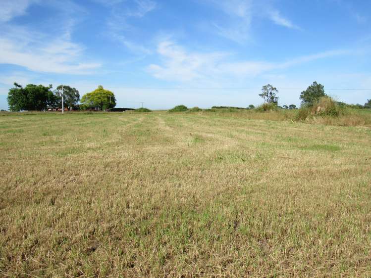 Stanley Road South Te Aroha West_6