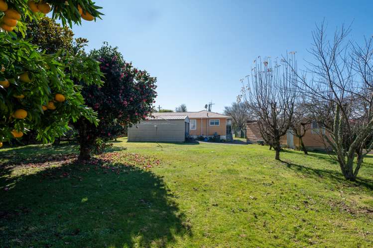 14 Upland Road Western Heights_10