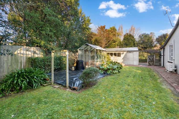 14 Young Street Somerfield_13