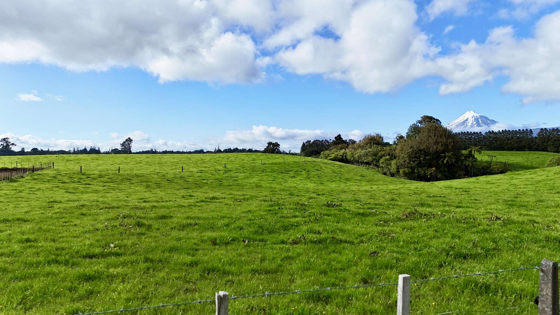 Lot 2 885 Carrington Road Hurworth_0