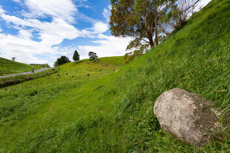 Waotu Road Putaruru_9