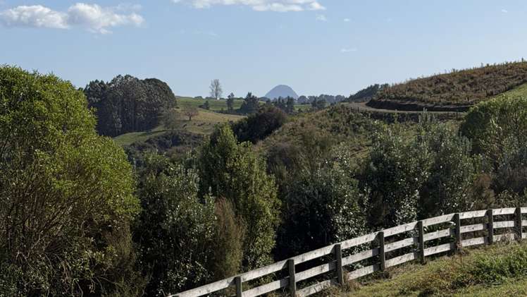 841 and 841A Wainui Road_3