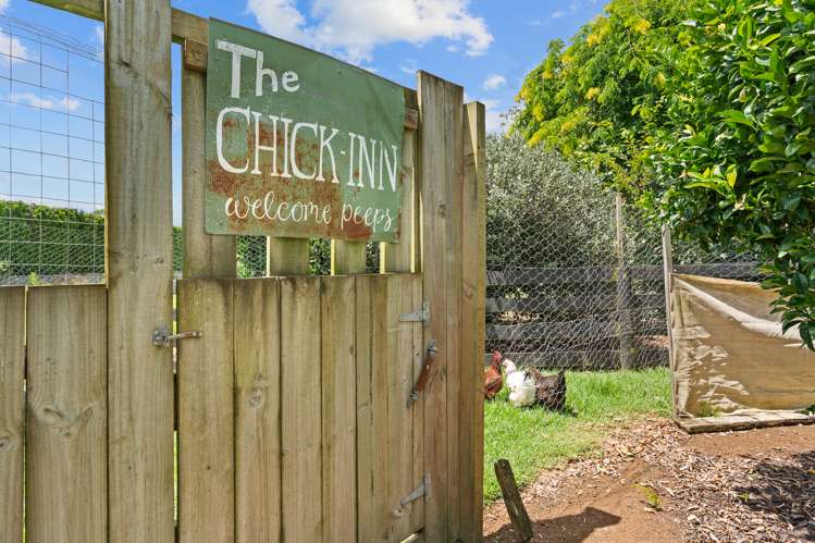 593 Ngunguru Road Glenbervie_28