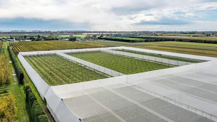 71 Franklin Road Central Hawkes Bay Coastal_25