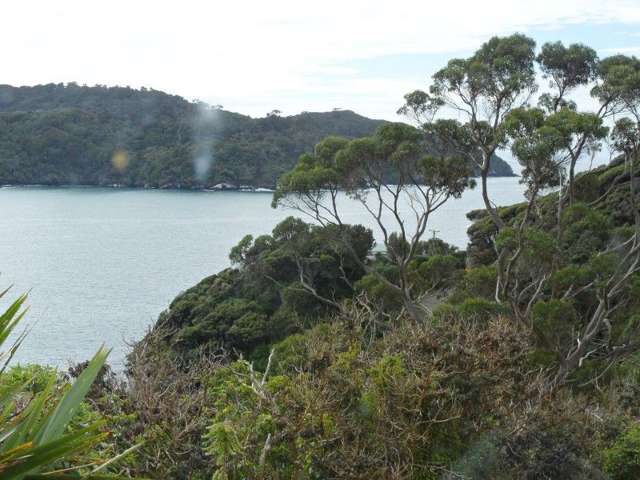 15 Ringaringa Road Stewart Island/Rakiura_4