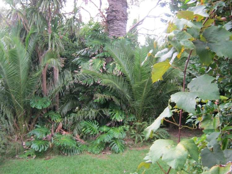 3a Dominion Road Kaitaia_16