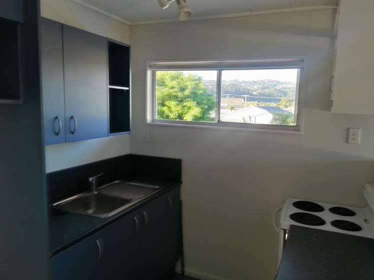 E/3 Manchester Street Petone_15