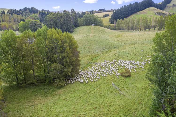 422 Glendhu Road Motunau_18