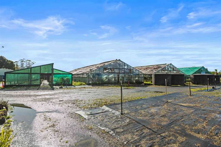 1285 Dairy Flat Highway Dairy Flat_21