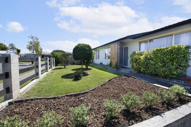 24 Skerrett Crescent Tamatea_1