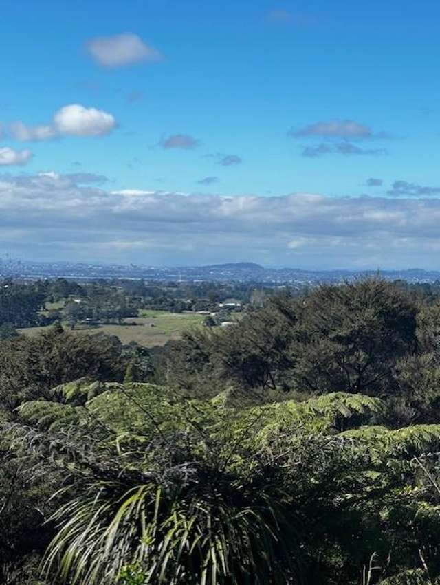 50 Kitewaho Road Swanson_2