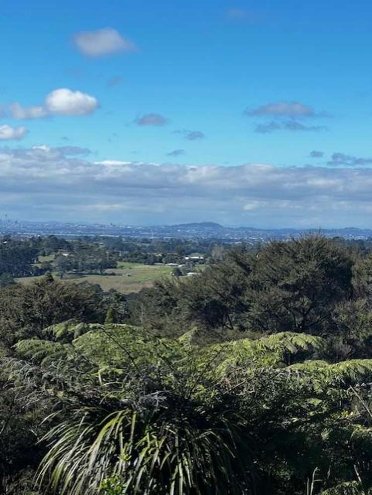 50 Kitewaho Road Swanson_1