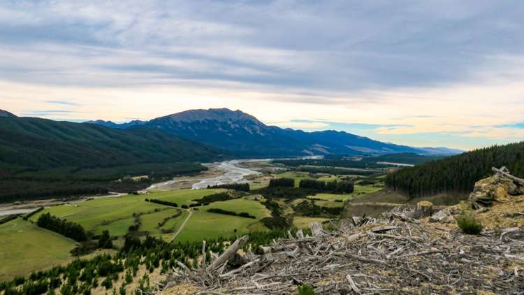 6331 State Highway 63 Wairau Valley_6