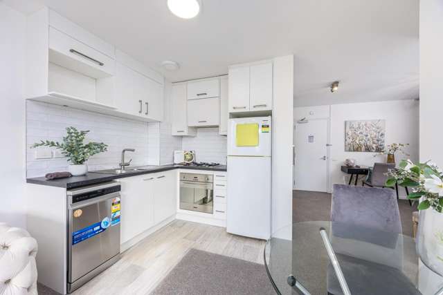 1D/17 Scanlan Street Grey Lynn_4