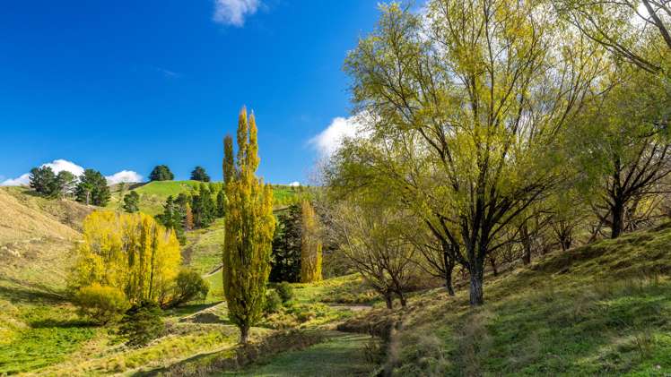 851 Clifton Grove Road Gladstone_11