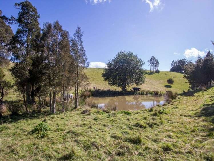 884 Kaiikanui Road Hukerenui and Surrounds_17
