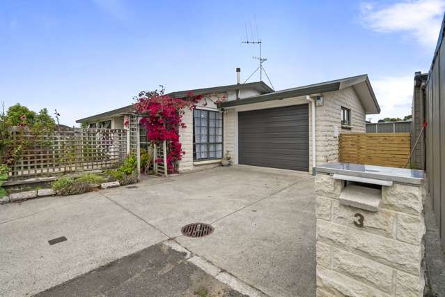 3 Willhart Court Feilding_1