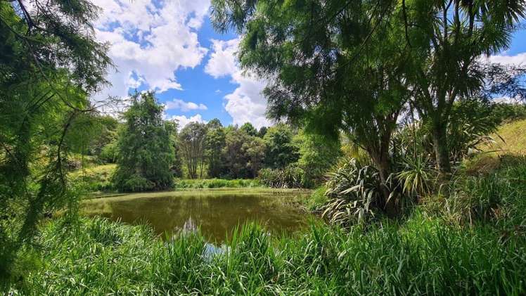 11 Sanctuary Lane Tamahere_43