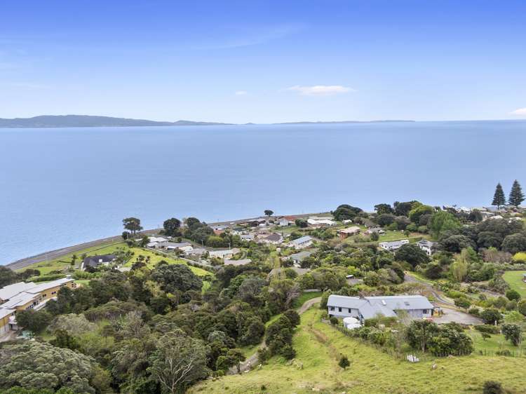 22a Springfield Avenue Ngarimu Bay_2