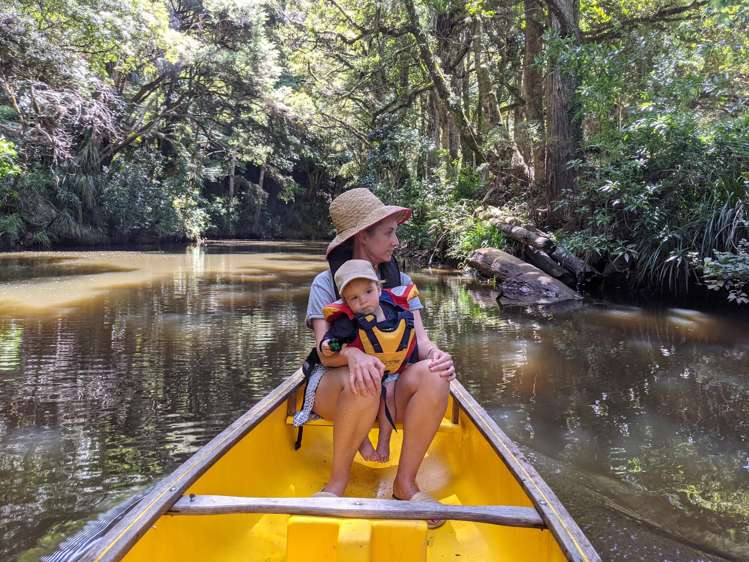 726d Ngunguru Ford Road Kiripaka_21