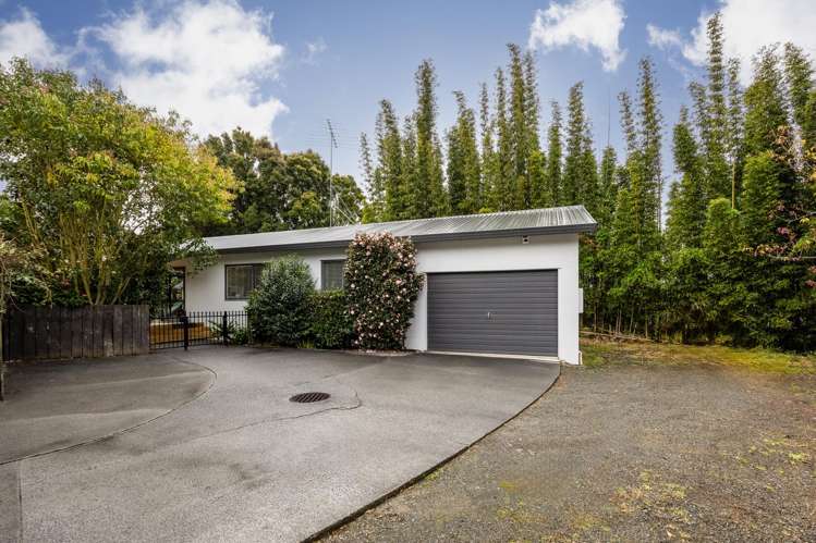 6A Kashmir Road Glen Eden_12