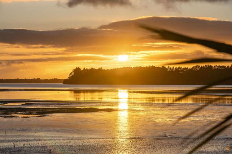 83b Lynley Park Drive Omokoroa_12
