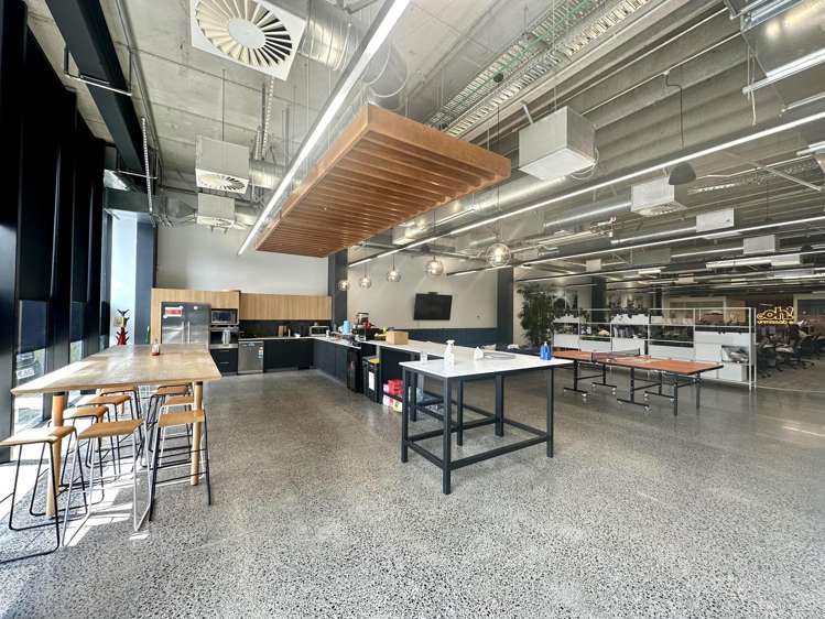 22 Pollen Street Grey Lynn_1