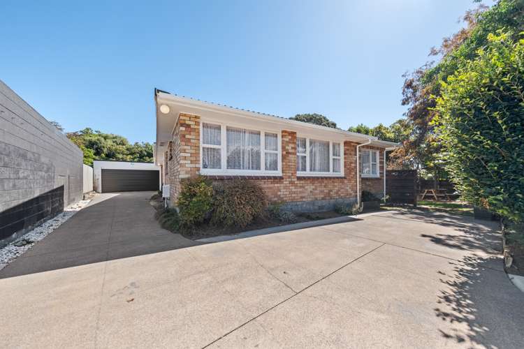 91 Manu Crescent Upper Vogeltown_25