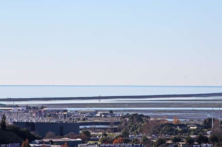 2/5 Konini Street Nelson South_11