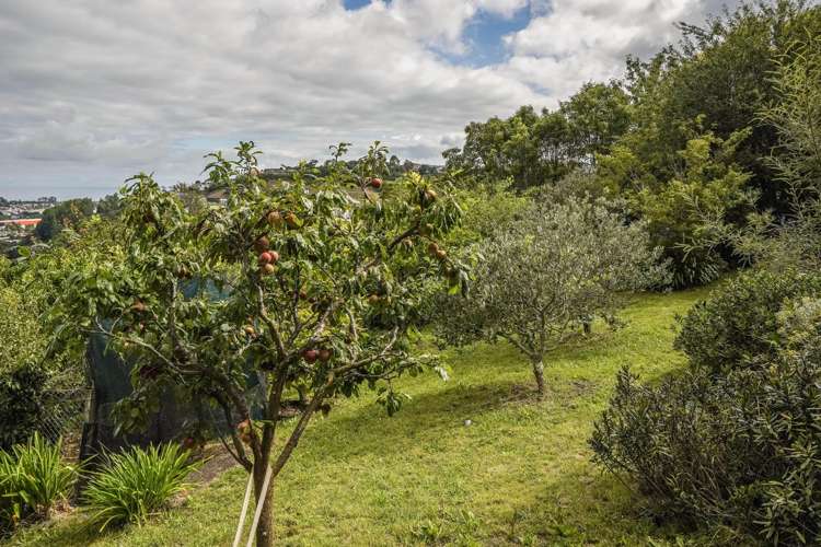 29 View Mount Stoke_21