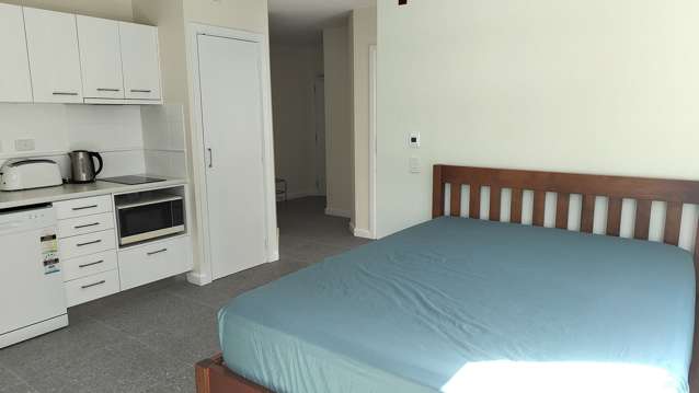 Spacious and furnished studio apartment