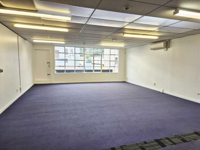 Level 1, 6 Tennyson Street Te Aro_3