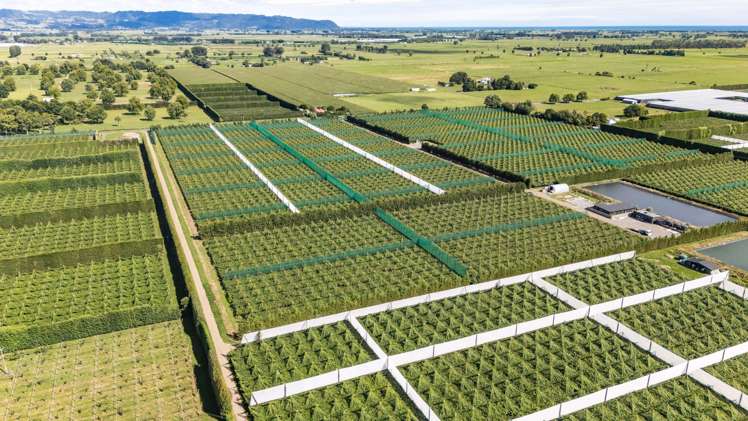 163C Western Drain Road Edgecumbe_23