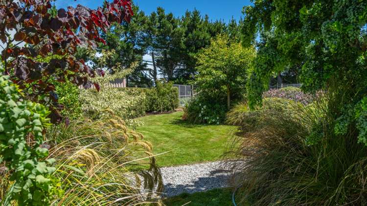 300 Courtenay Road Charing Cross_11