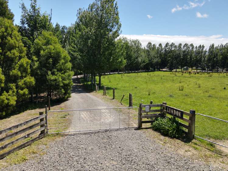 157 Waihi Valley Road Waione_7