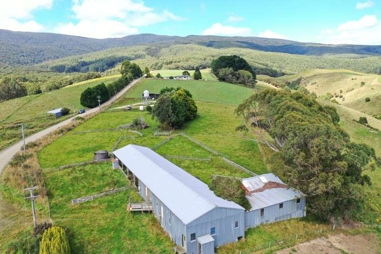 110 Harrison Road Tuatapere_11