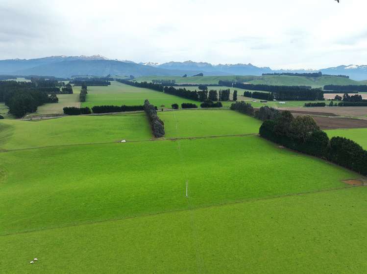 1148 Blackmount Redcliff Road Whare Creek_4