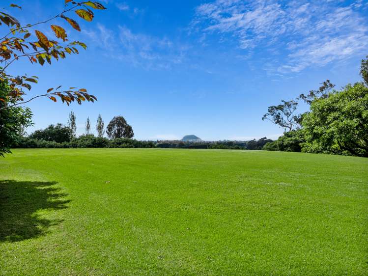 14c Crawford Road Wairoa_10